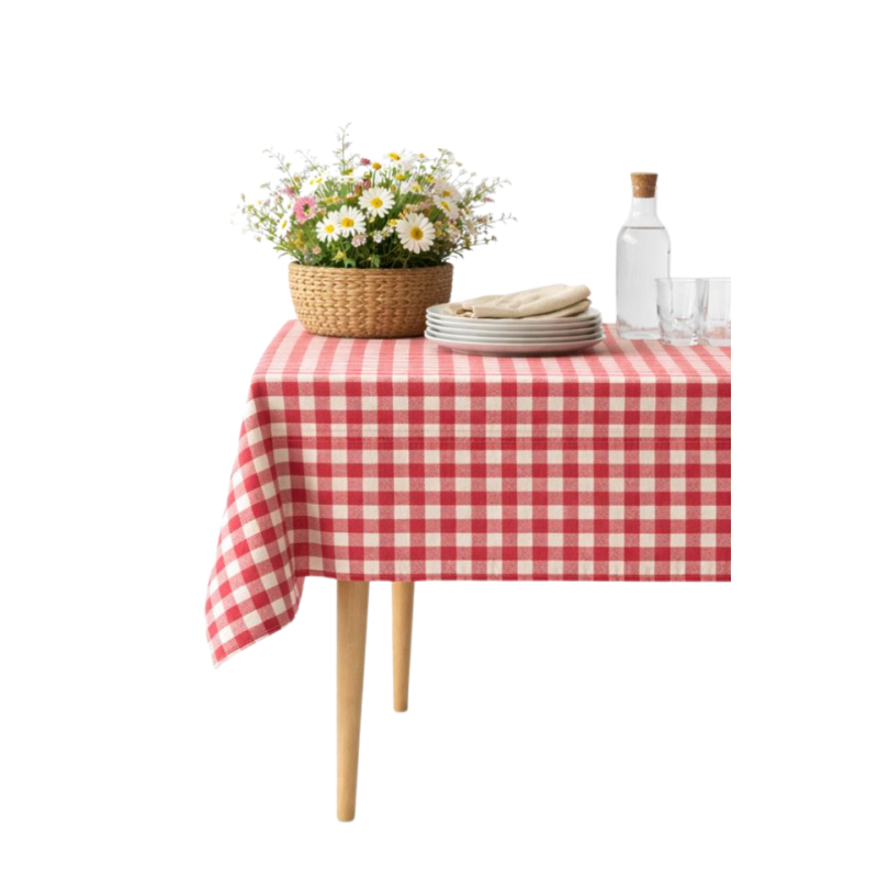 LINANE LAUDLINA RED GINGHAM 2.png