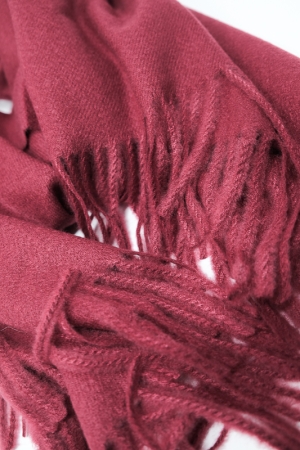 DSCF2061.jpg